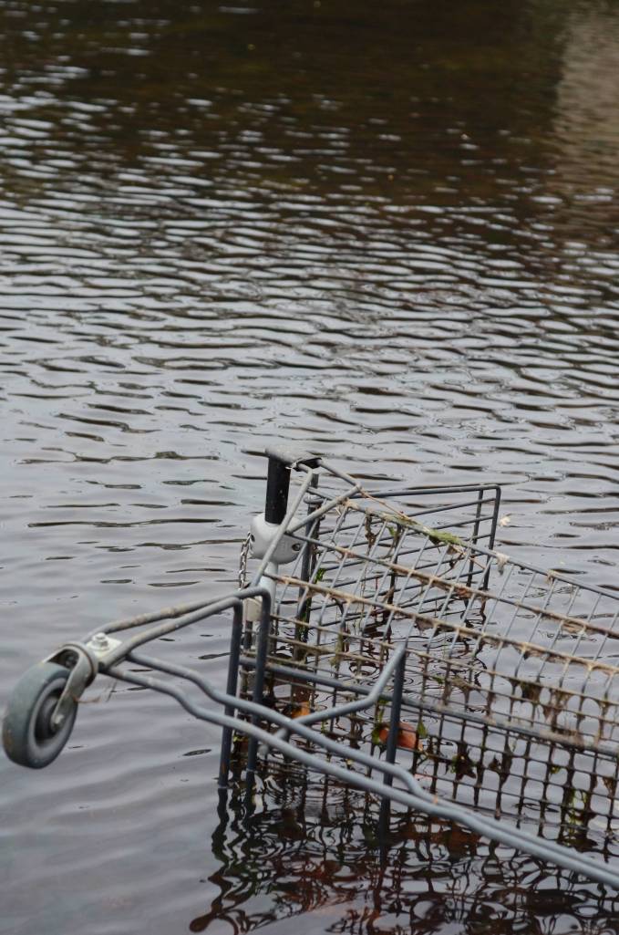 Nikon D7000 AF Nikkor 50mm f/1.8D