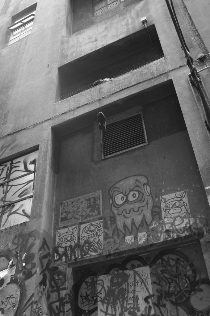 Fujifilm X100 Fujinon 23mm