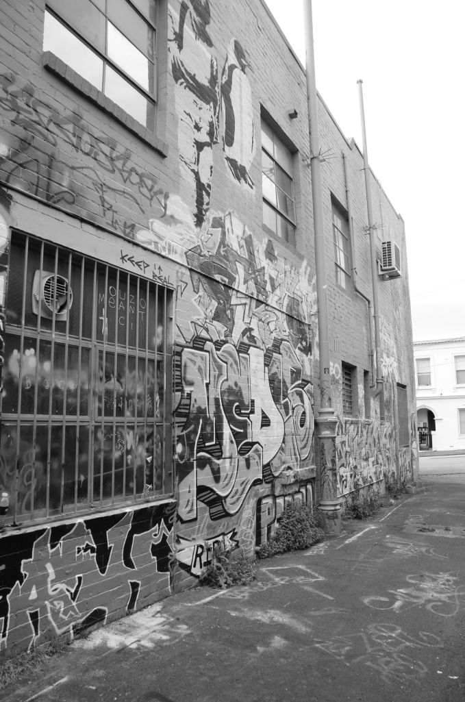 Nikon D7000 Sigma 17-70mm f/2.8-4 DC