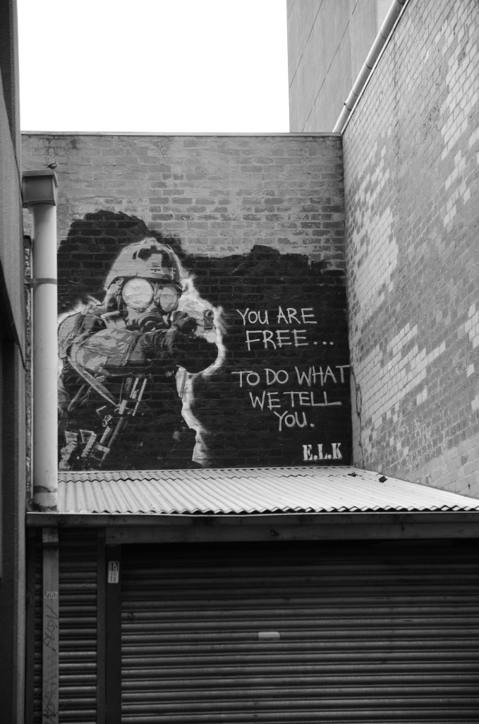 Nikon D7000 Sigma 17-70mm f/2.8-4 DC